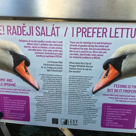 Vltava 아파트 *