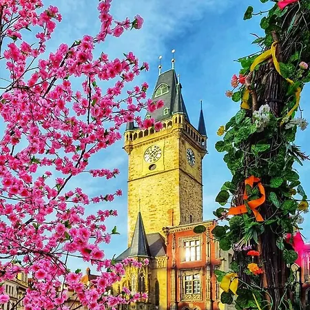 아파트 Vltava